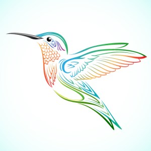 colorful_hummingbird